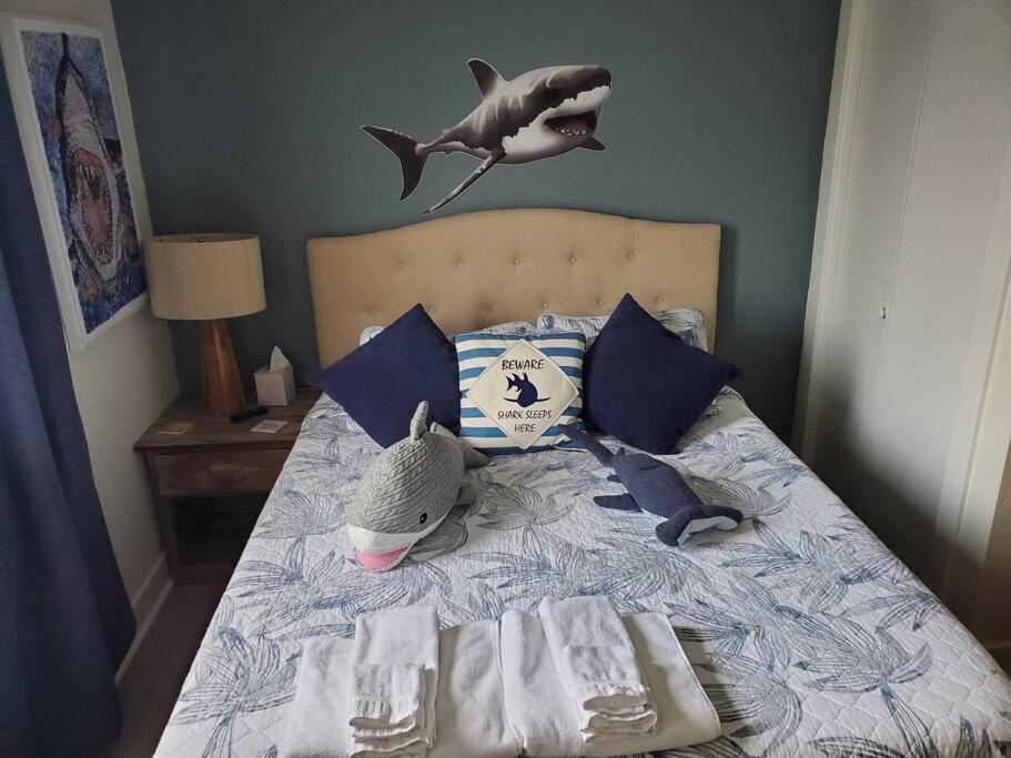 The Lost Loggerhead- Obx Ocean View Beach House Avon Zewnętrze zdjęcie